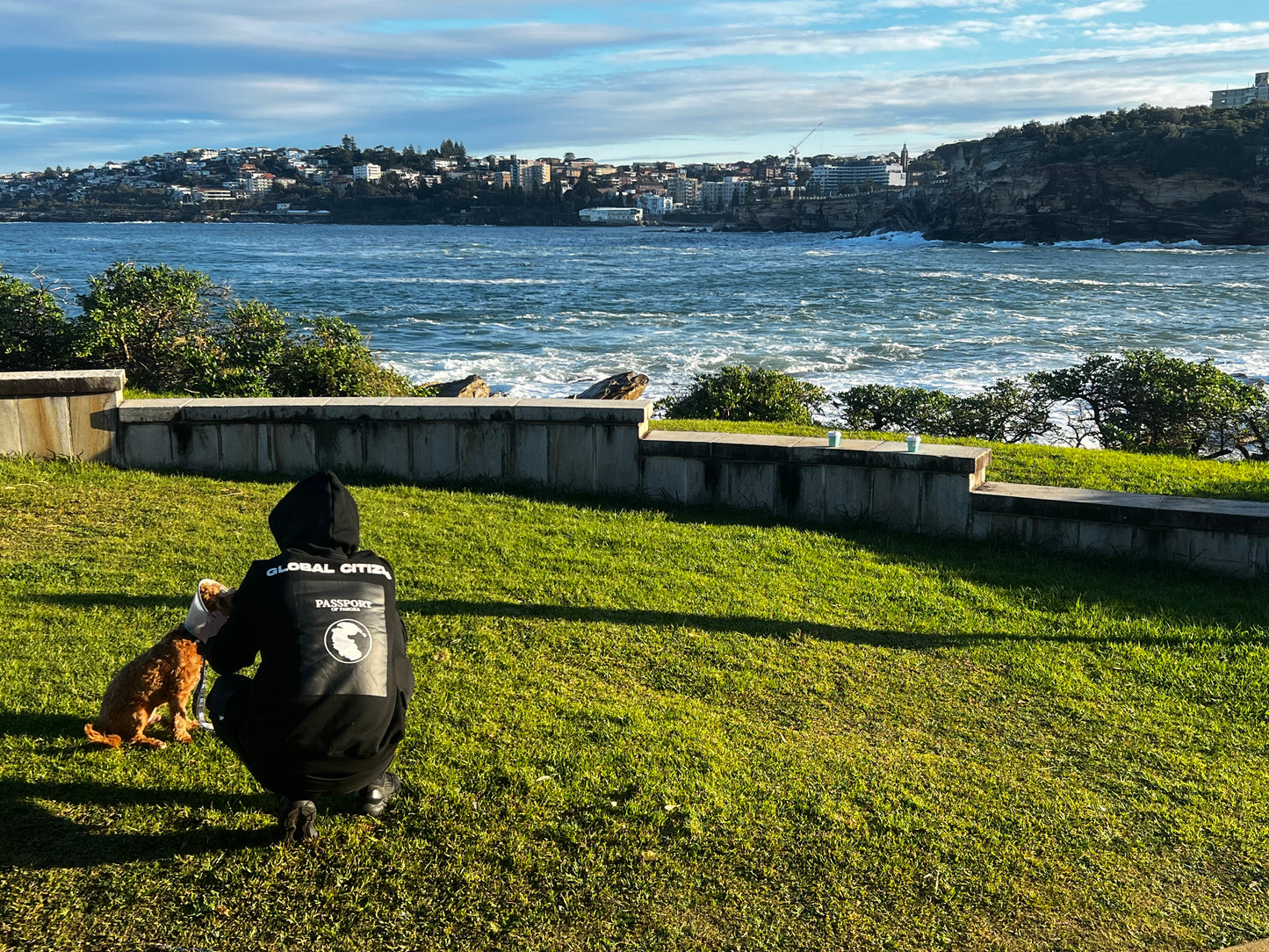 PANGEA HOODIE