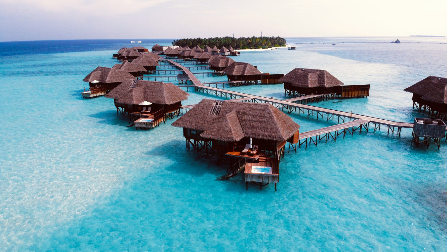 FLY TO MALDIVES