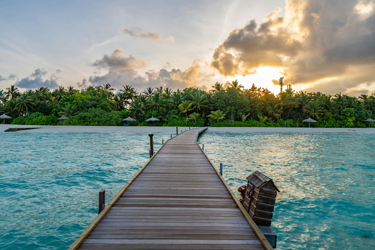 FLY TO MALDIVES