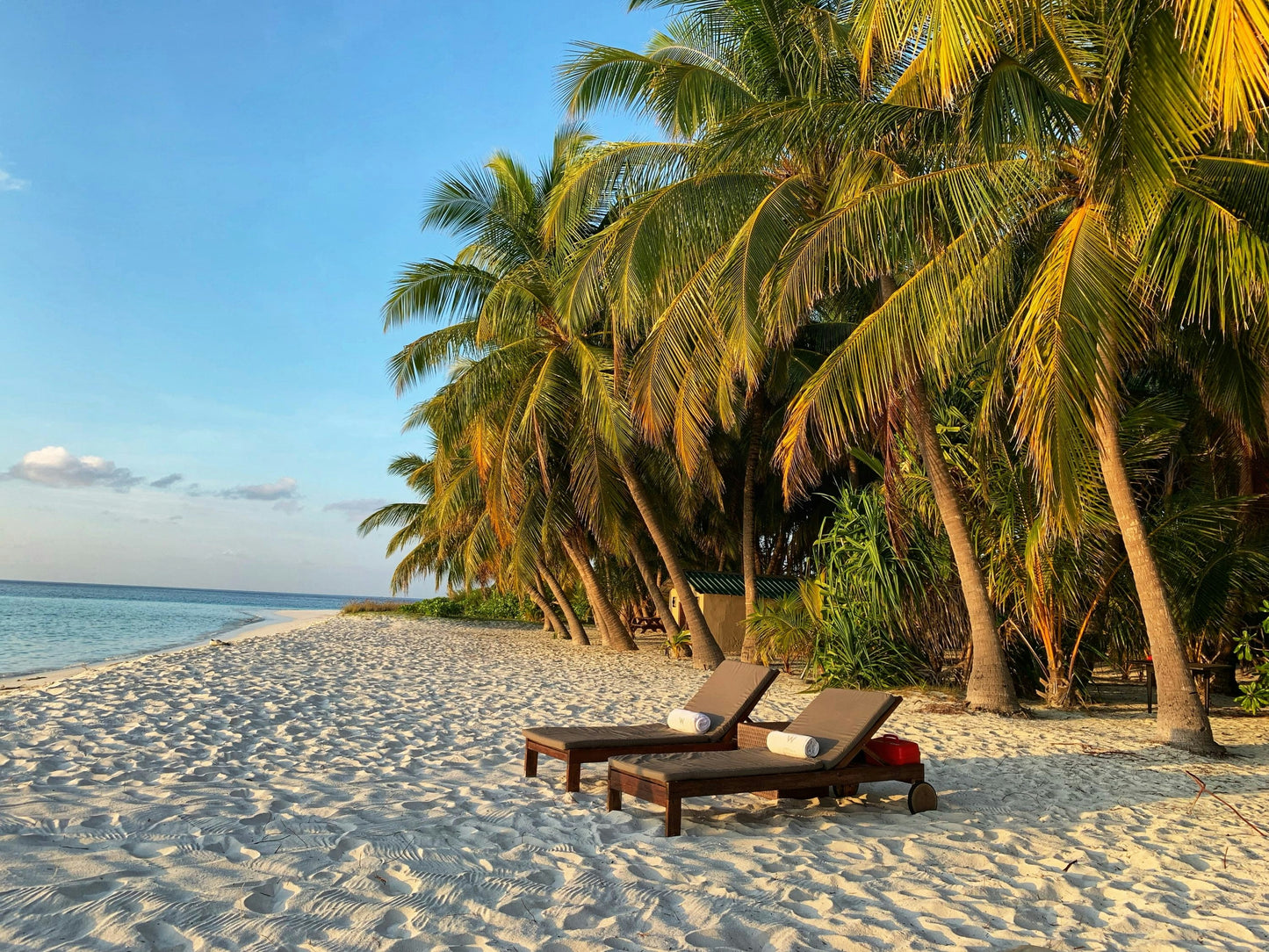 FLY TO MALDIVES