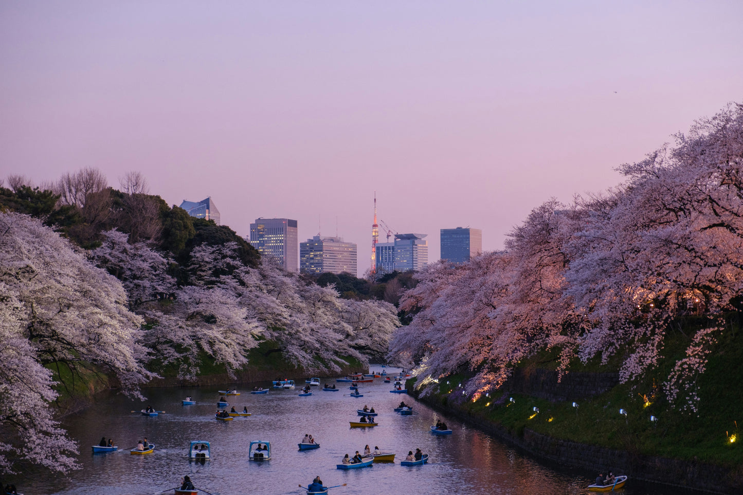 FLY TO TOKYO